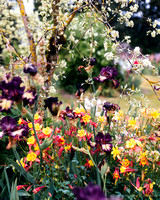 Schreiner's Iris Gardens 2021-10
