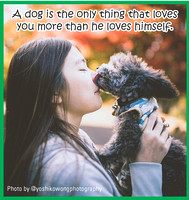 A dog loves you more by Yoshiko Wong Photography